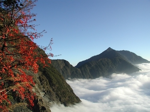 楓景山楓又醒