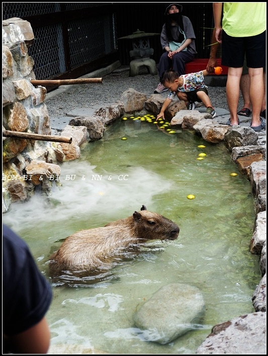 LINE_ALBUM_729 第一次旅行宜蘭_230801_110.jpg