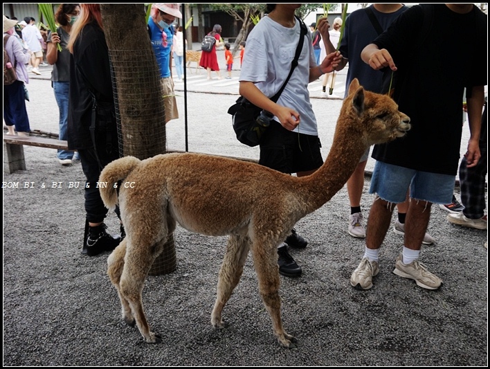 LINE_ALBUM_729 第一次旅行宜蘭_230801_124.jpg