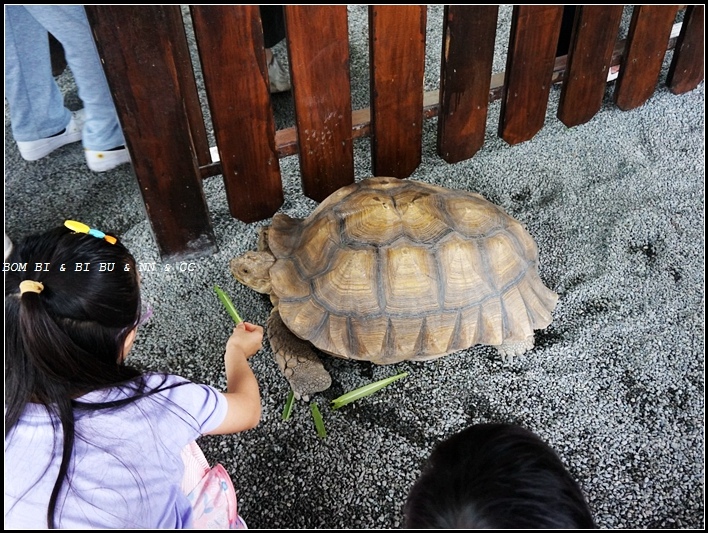 LINE_ALBUM_729 第一次旅行宜蘭_230801_125.jpg