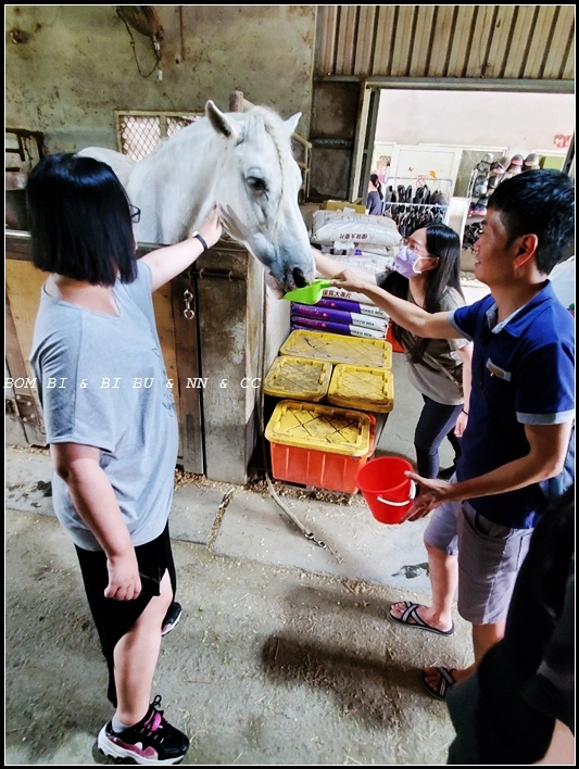 [旅遊去-台灣東部] 2023-07-29 宜蘭勁好行-大洲