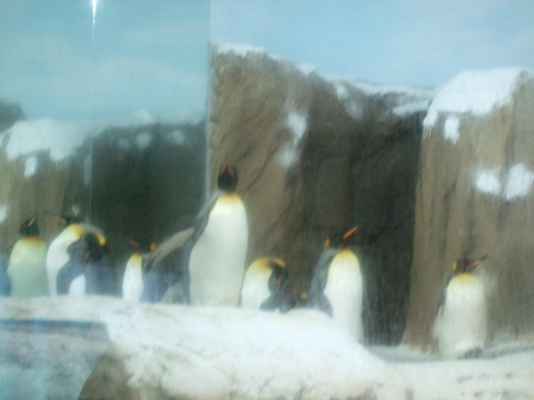 DSCF2019.JPG DSCF2019.JPG