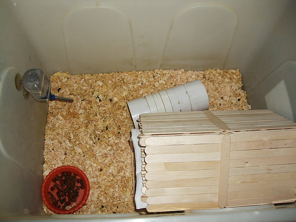 DSCF3215.JPG DSCF3215.JPG