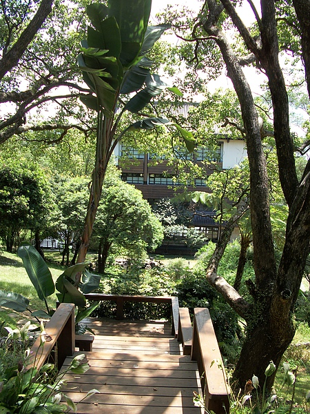 緣道觀音寺-木步道