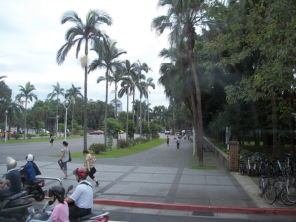 台大街景