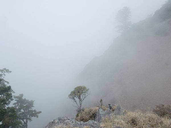 CIMG0423.JPG