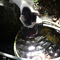 DSCN2185.JPG