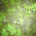 CIMG1050.JPG