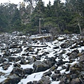 CIMG0513.JPG
