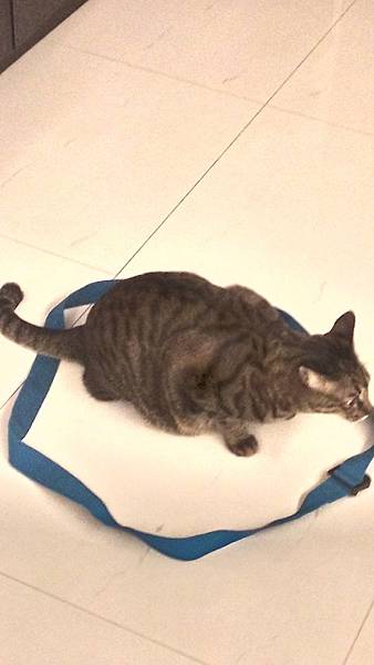 20141024 魔法陣封印