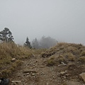 CIMG0440.JPG