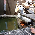 DSCN2218.JPG