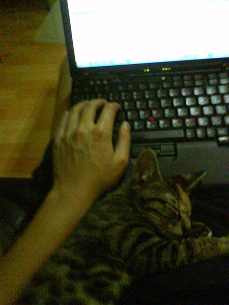 打電腦時米漿睡手邊