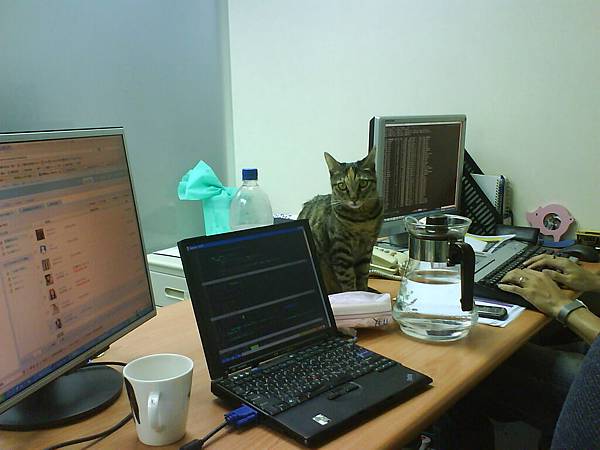 米漿來公司上班