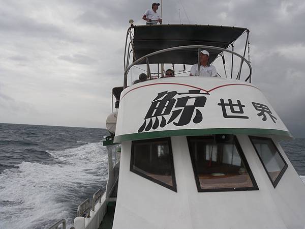 船長在努力搜尋海豚