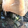 CIMG0502.JPG