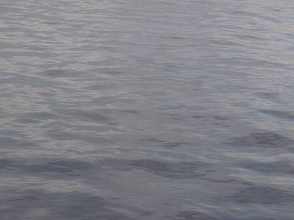 海水超平穩的，一點浪花都沒有