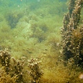 CIMG0593.JPG