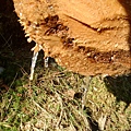 CIMG0500.JPG