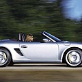 boxster05.jpg