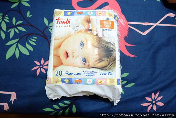 DSCF8101.JPG DSCF8101.JPG