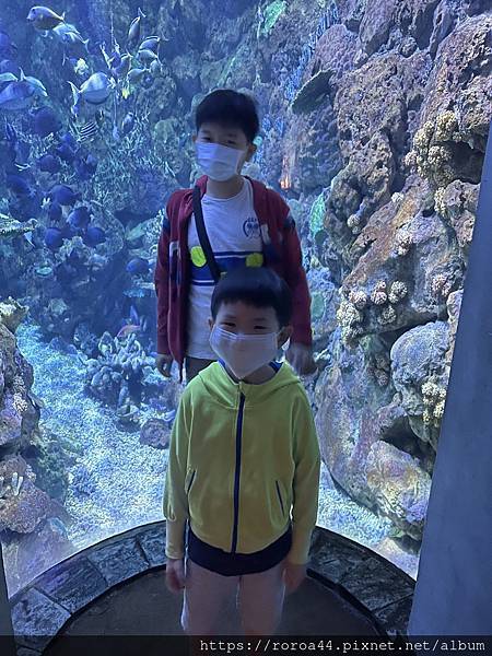 [11Y5M19D]+[6Y9M22D] 台東二日遊