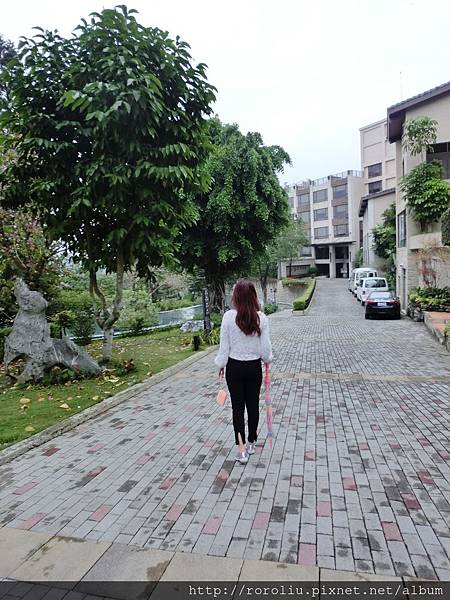 CIMG2580.JPG CIMG2580.JPG