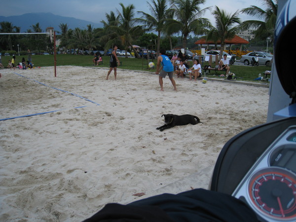 IMG_0282.jpg