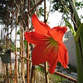 IMG_0736.jpg