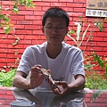 IMG_0915.jpg