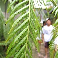 IMG_0924.jpg