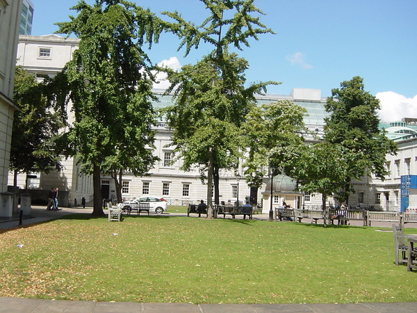 DSC04011.JPG