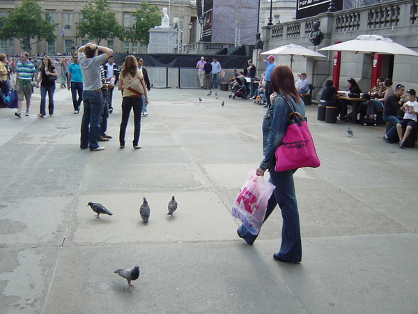 DSC04042.JPG