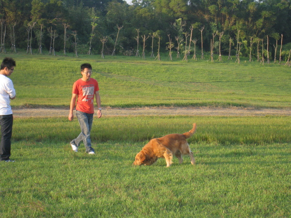 IMG_1420.jpg