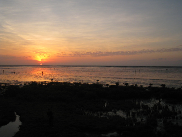 IMG_1470.jpg