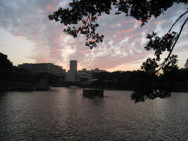 IMG_1566.jpg