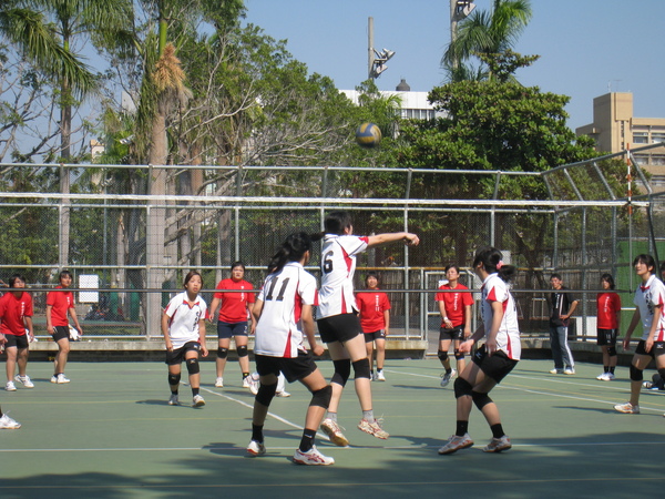 IMG_1690.jpg
