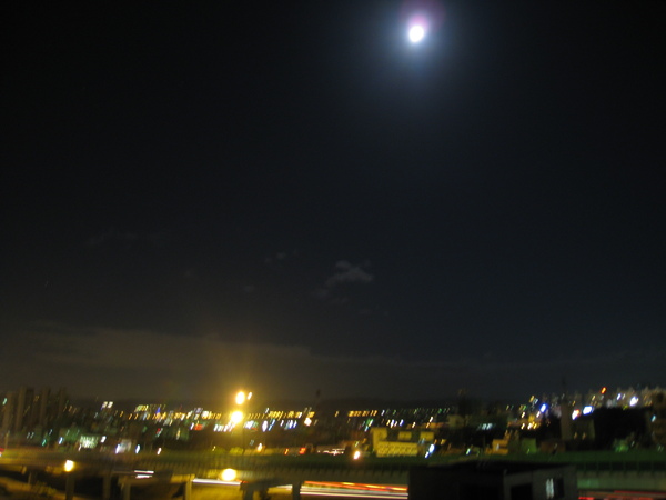 IMG_1374.jpg
