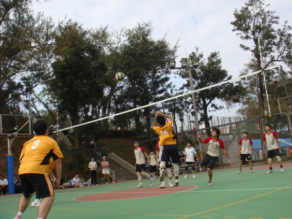 DSC02528.JPG