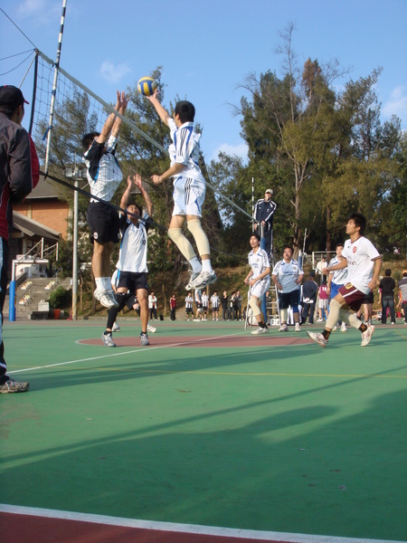 DSC02595.JPG
