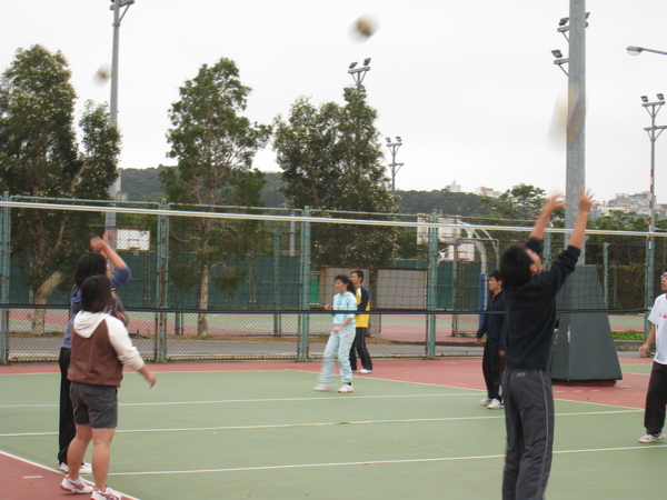 IMG_2223.jpg