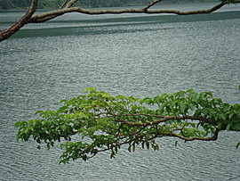 鯉魚潭9.jpg