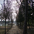 DSC08153.JPG