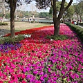 DSC08226.JPG