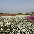 DSC09033.JPG