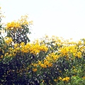 DSC02630.jpg