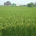 DSC07601.JPG
