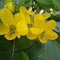 DSC07617.JPG