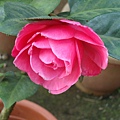 DSC05871.JPG