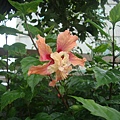 DSC08291.JPG